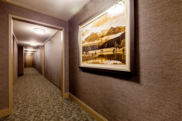 Rented by Mirador Real Estate | media 1