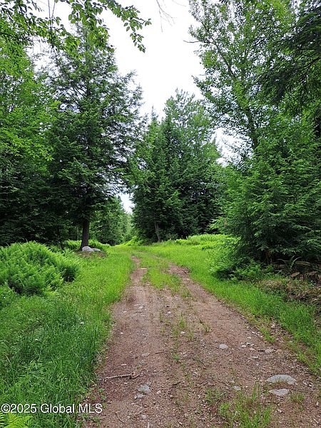 4th image of L31 Bills Road