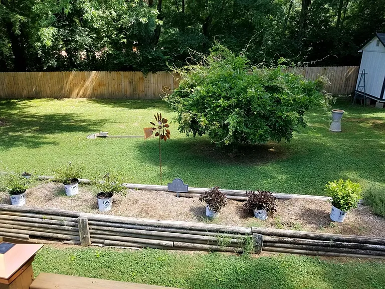 10229 Overview Dr — Photo 14