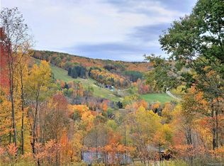 6847 Niles Rd, Ellicottville, NY 14731