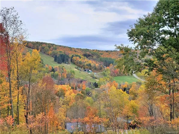 6847 Niles Rd, Ellicottville, NY 14731