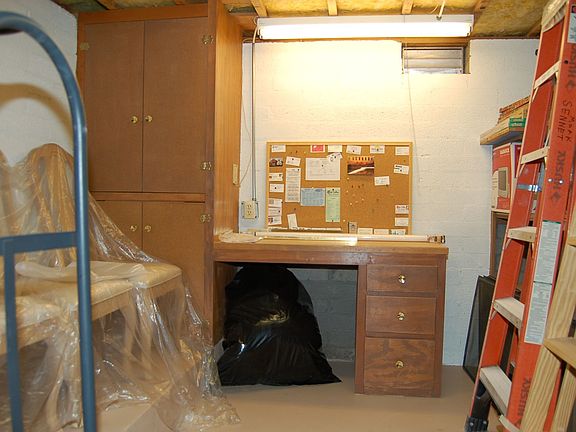 Bsmt Work Area