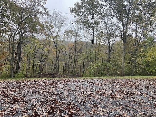 2nd image of 697 Galbraith Rd