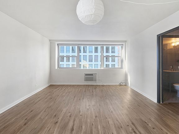 3rd image of 253 E Delaware Pl APT 20B
