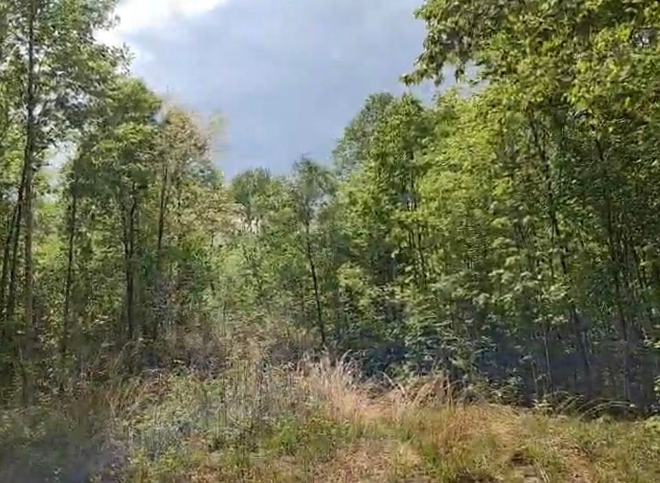 2nd image of 0 Fuller Rd