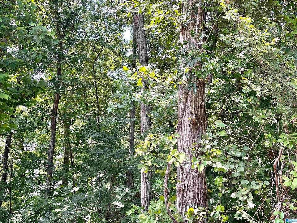 1st image of 0 River Terrace Dr Lot 13