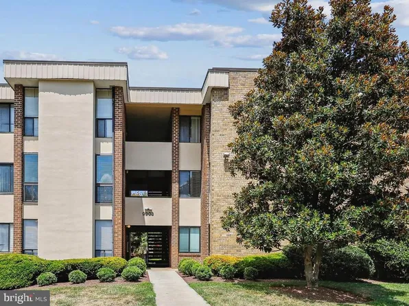 9903 Blundon Dr APT 202, Silver Spring, MD 20902