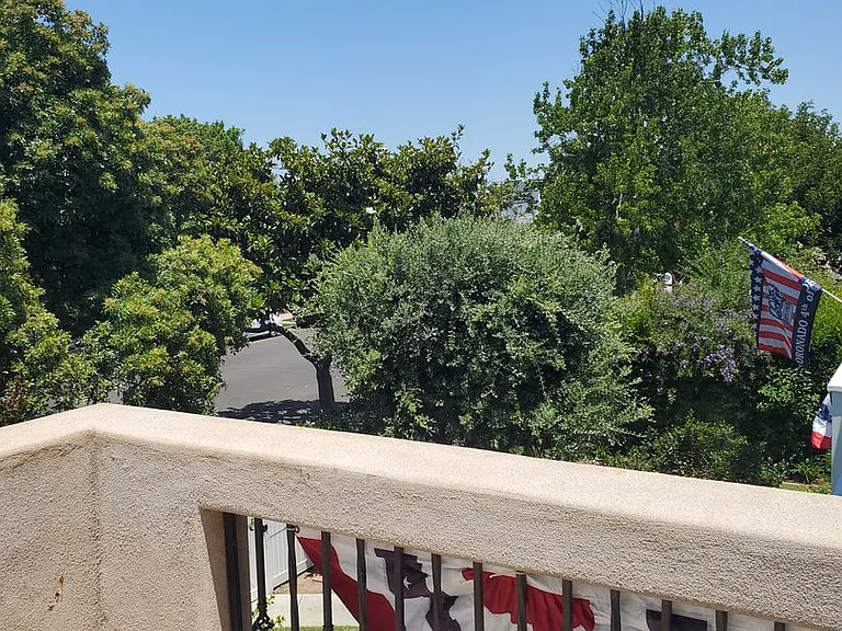 431 I Ave — Photo 30