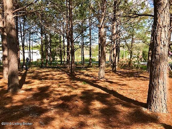 3rd image of 50 Doe Run Ln