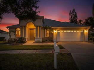 9115 Pinebreeze Dr, Riverview, FL 33578