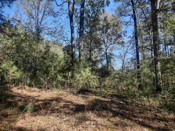 1.59 Indian Loop, Amity, AR 71921