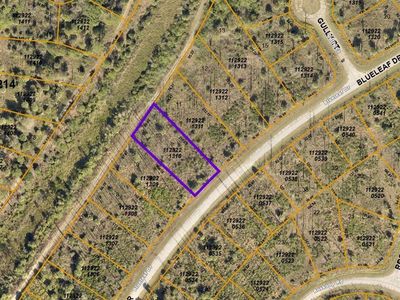 Blueleaf Dr, North port, FL, 34288