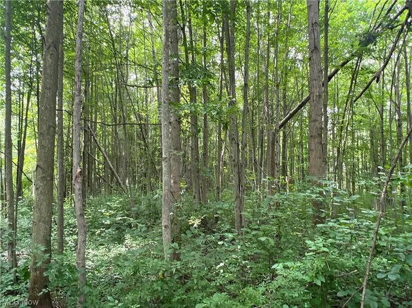 Austinburg Rd, Ashtabula, OH 44004