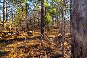 4th image of 0 White Oak Rd Lot 29