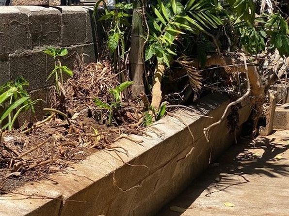 honolulu-hawaii-82426513 picture