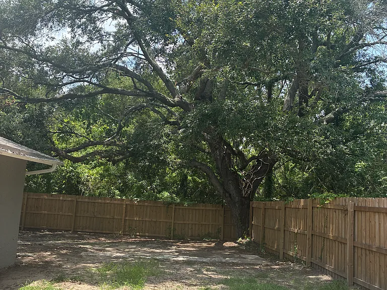 3832 Valley Tree Dr #3830 — Photo 24