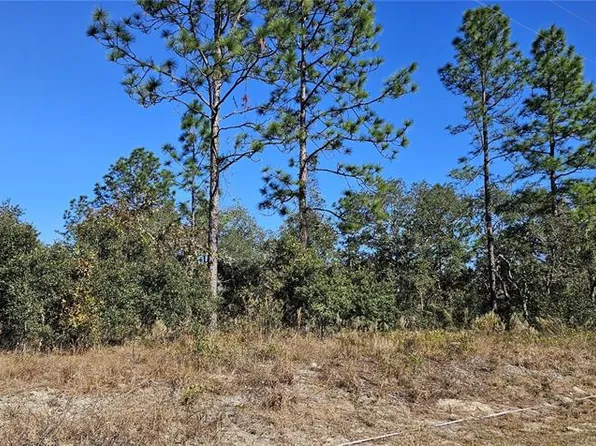 LOT 10 SW Nectarine Ln Lot 10, Dunnellon, FL 34431