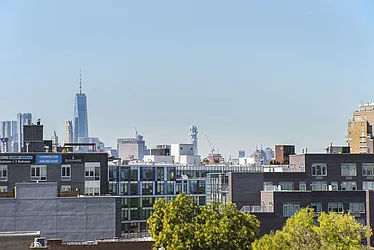 Rented by Bold New York