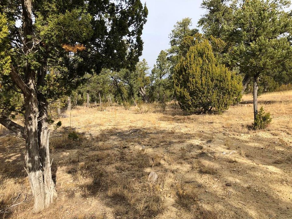 2nd image of 3335 Sawmill Ridge Loop
