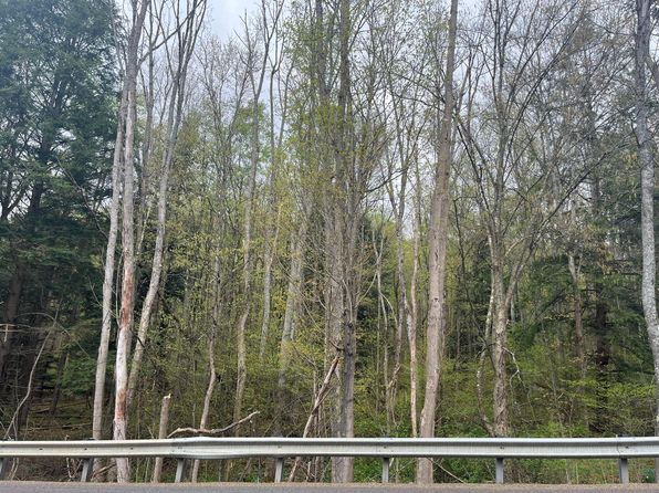 0 Route 6, Pt Allegany, PA 16743
