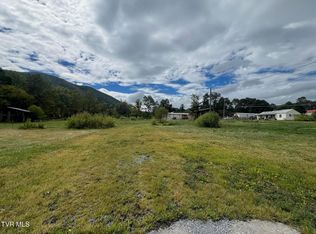 123 Streets Ln, Hampton, TN 37658