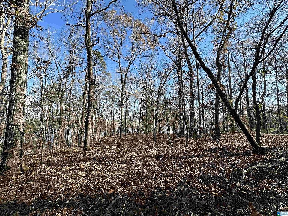 1st image of 11 Billingsley Dr Lot 11