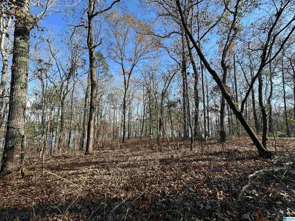 11 Billingsley Dr Lot 11, Sylacauga, AL 35151