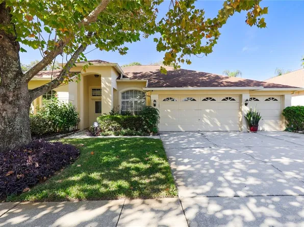 12808 Big Sur Dr, Tampa, FL 33625