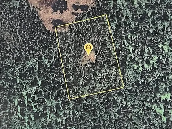 L6 Bald Mountain, Talkeetna, AK 99676