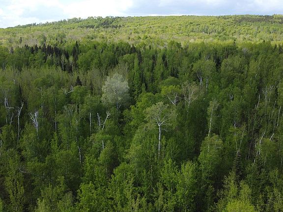 3rd image of 4200 County Rd 45