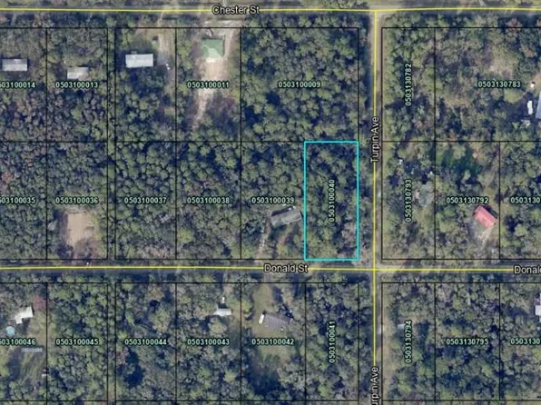 9715 Turpin Ave, Hastings, FL 32145
