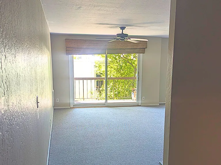 407 Orange St — Photo 5