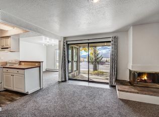 120 E La Bonte St #106, Dillon, CO 80435