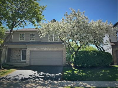 8 Oxford Ct, Algonquin, IL, 60102