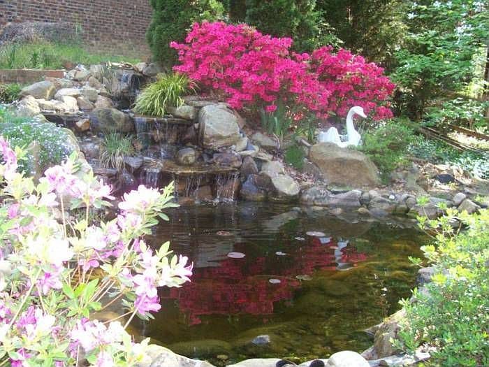 pond