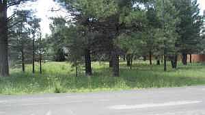 2nd image of 5037 Sweeping Vista Dr