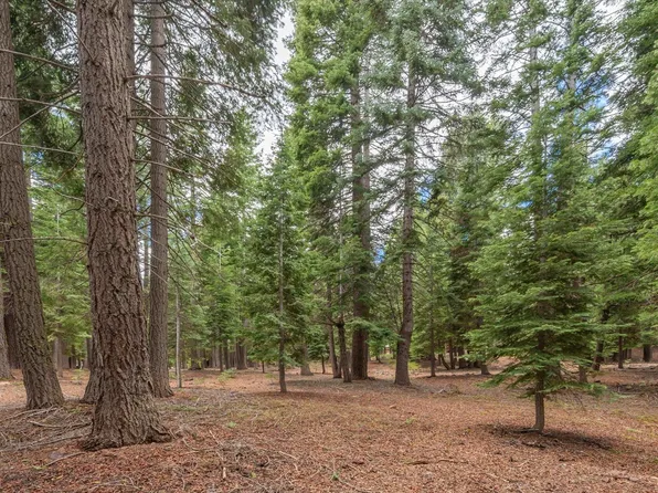 10986 Innsbruck Ave, Truckee, CA 96161