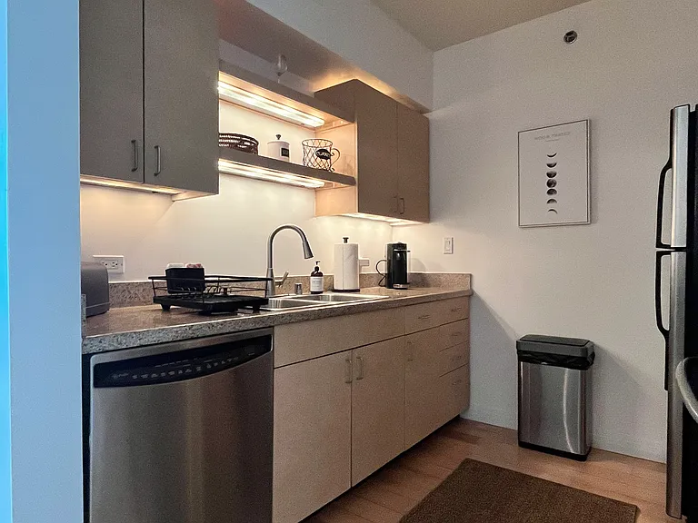 425 W Beech St #1152 — Photo 7