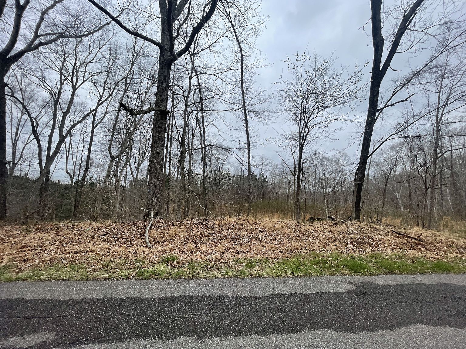 1 Forest Trl, Bumpus Mills, TN 37028 MLS 2486240 Zillow