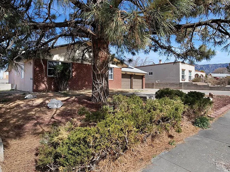 11801 Tracy Ct NE — Photo 4