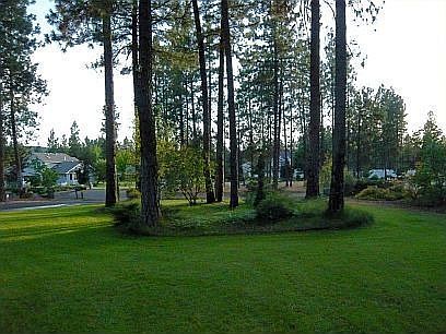 view from the front porch, and yard  into neighborhood