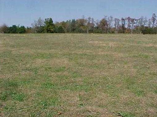 1st image of Highway 303 Hindsville Ar 72738 Hwy