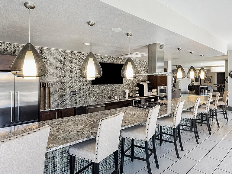 Fully-equipped entertainment kitchen