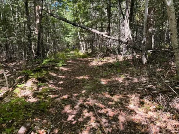 R10-2-3A Nota Drive #TBD, Hartford, ME 04220