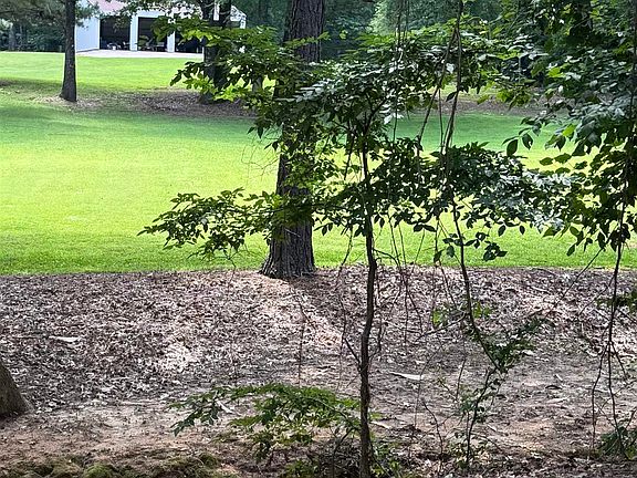 5th image of 35 Deerfield Cv #15