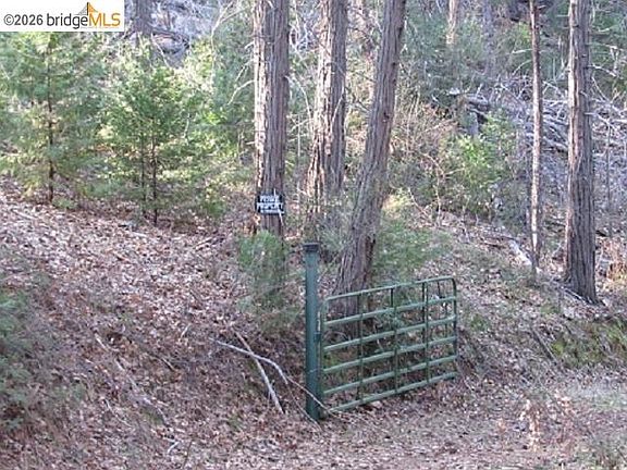 2nd image of 0 Star Ridge Rd