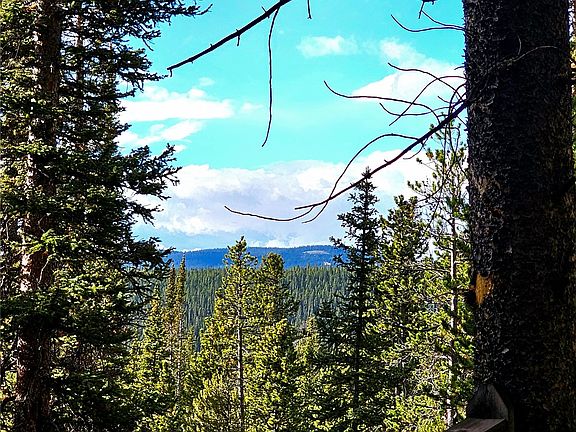 3rd image of 102 Gold Trail