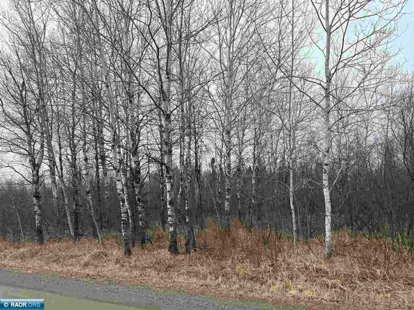 Peary Dr S, Eveleth, MN 55734