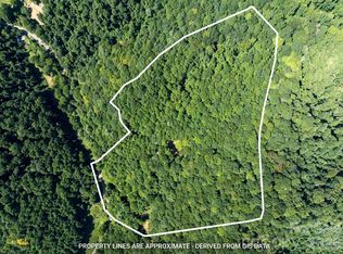 99999 Patsy Creek Rd, Burnsville, NC 28714