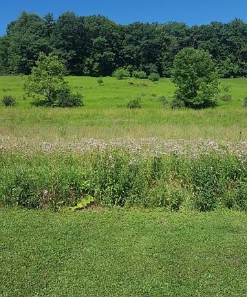 5th image of 7331 State Highway 80